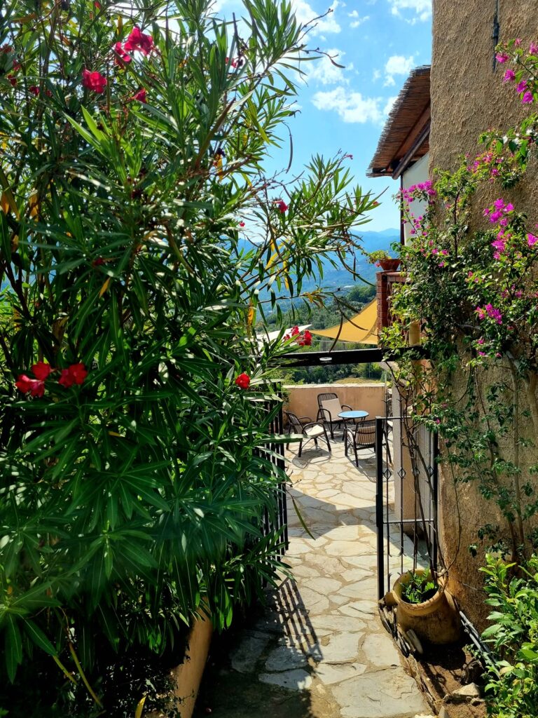 Blühender Weg hinunter zur Terrasse