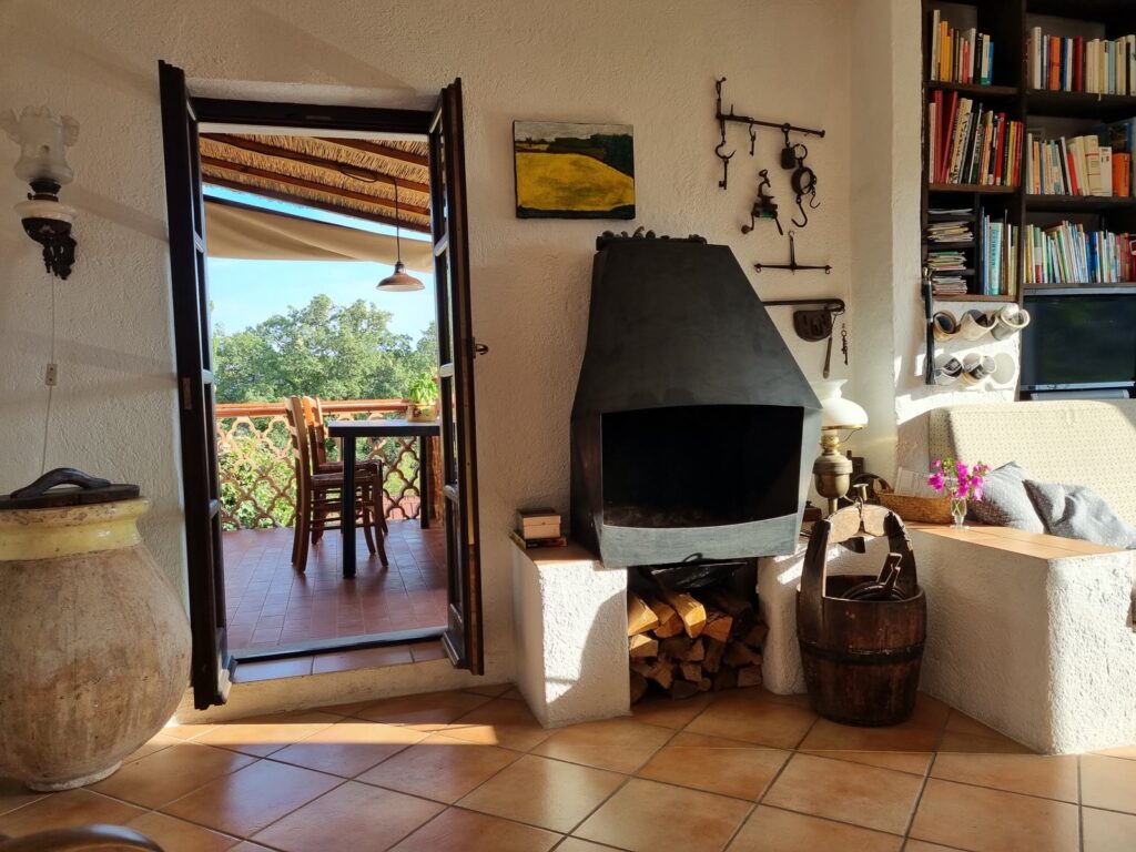 Wohnzimmer mit Bibliothek, Kamin und Bergblick