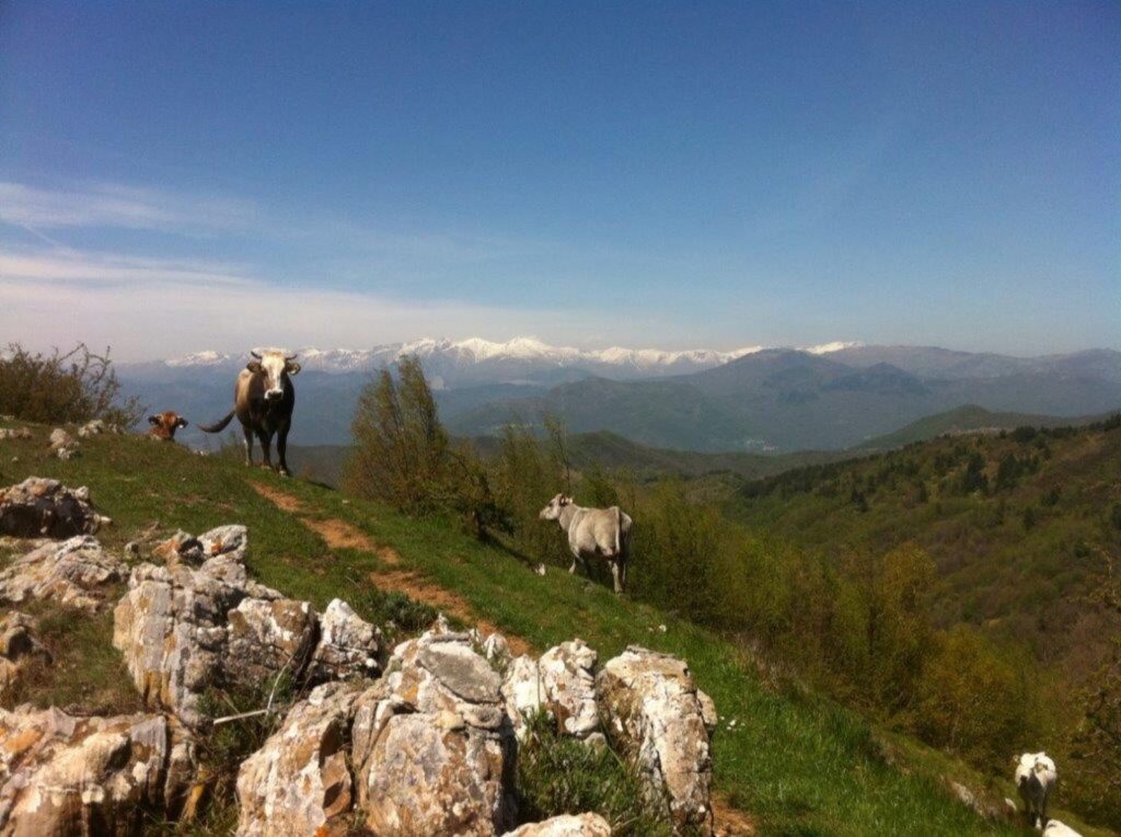 Wanderung in den ligurischen Bergen